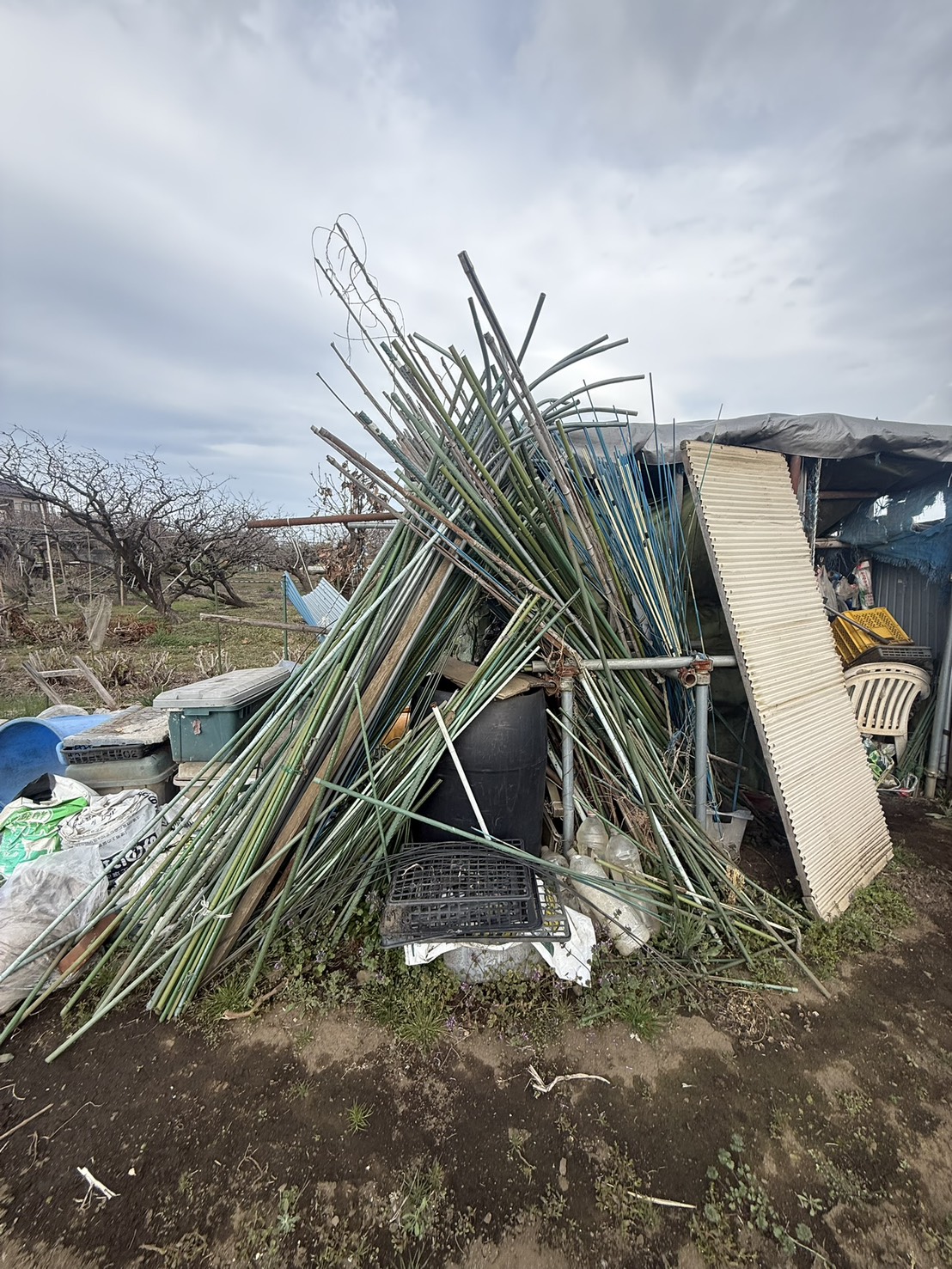 畑の物置解体前の状態1