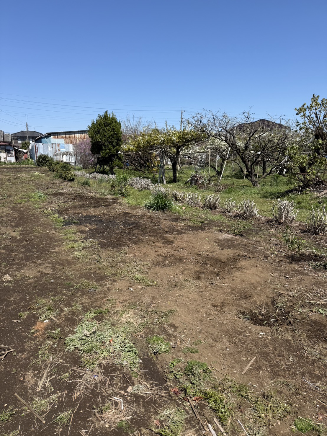 畑の物置解体・撤去後の状態