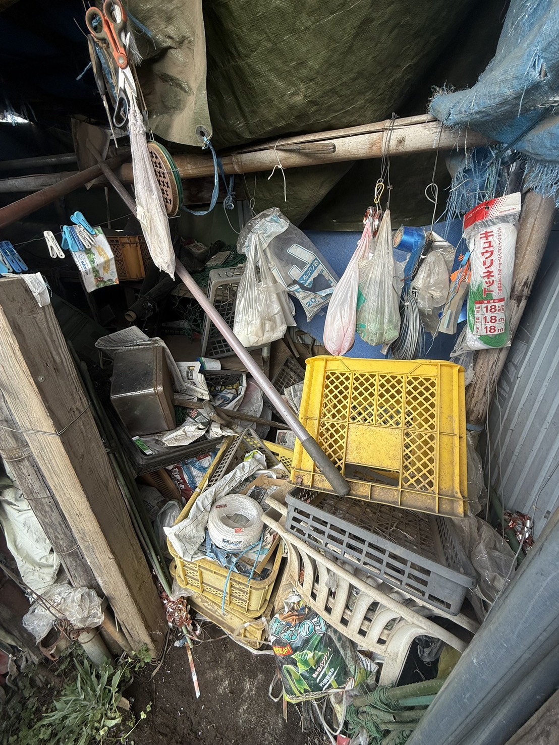 畑の物置解体前の状態4